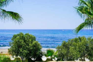 Unutulmaz bir deniz manzarası Palmiye ağaçları ve bir tekne