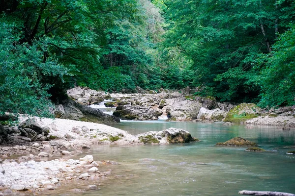 Fiume Montagna Una Foresta Profonda — Foto Stock