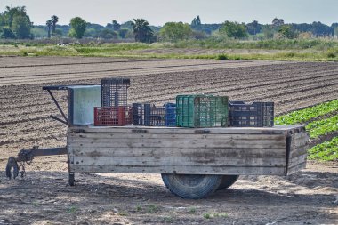 Üreme alanında eski ahşap bir araba.