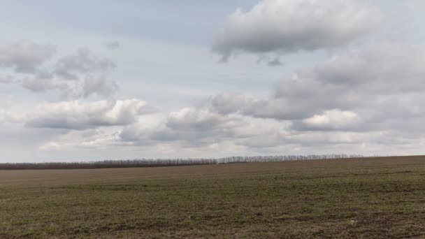 Russie, chronométrage. Le mouvement des nuages sur les champs de blé d'hiver au début du printemps dans les vastes steppes du Don .