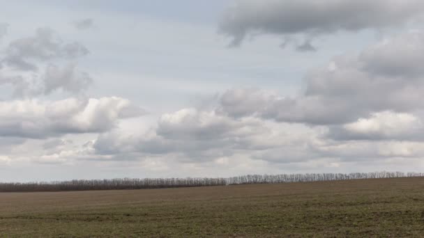 Rosja, timelapse. Ruchu chmur nad polami pszenicy ozimej wczesną wiosną w rozległe stepy Don. — Wideo stockowe