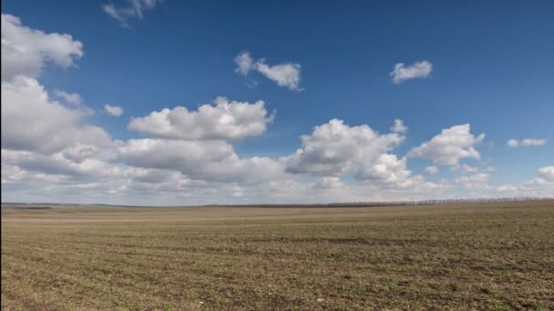 Rusko, timelapse. Pohyb mraků nad poli ozimé pšenice v předjaří v rozlehlé stepi Don. — Stock video