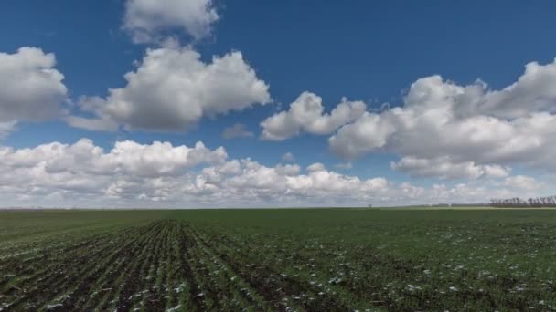 Rusko, timelapse. Pohyb mraků nad poli ozimé pšenice v předjaří v rozlehlé stepi Don.