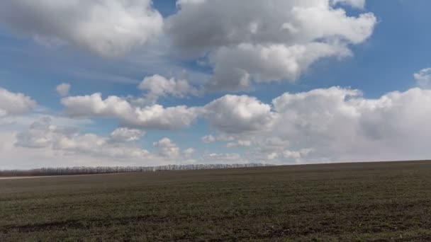 Rusko, timelapse. Pohyb mraků nad poli ozimé pšenice v předjaří v rozlehlé stepi Don. — Stock video