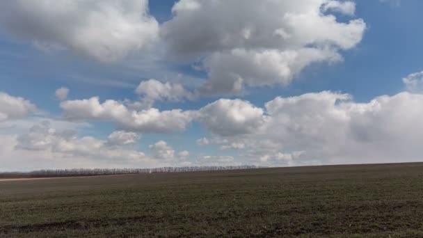 Russie, chronométrage. Le mouvement des nuages sur les champs de blé d'hiver au début du printemps dans les vastes steppes du Don .