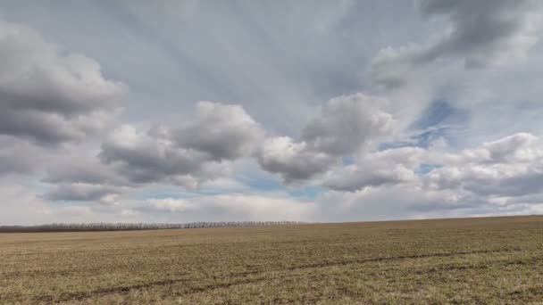 俄罗斯，游戏中时光倒流。冬小麦在早春在广阔的大草原的老爷子的田地上空的云块的运动. — 图库视频影像