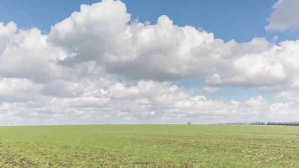 Rusia, timelapse. El movimiento de las nubes sobre los campos de trigo de invierno a principios de primavera en las vastas estepas del Don . — Vídeos de Stock