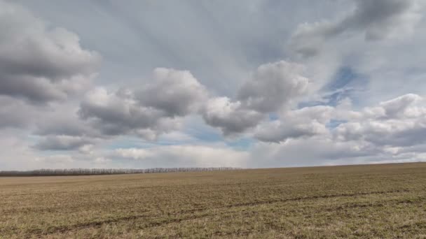 Rússia, cronologia. O movimento das nuvens sobre os campos de trigo de inverno no início da primavera nas vastas estepes do Don . — Vídeo de Stock