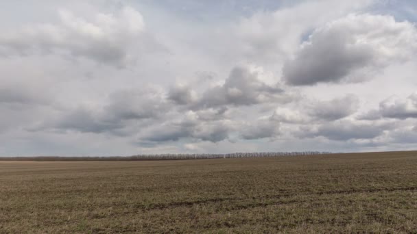 Ryssland, timelapse. Förflyttning av moln över fälten i höstvete tidigt på våren i de stora stäpperna i Don. — Stockvideo