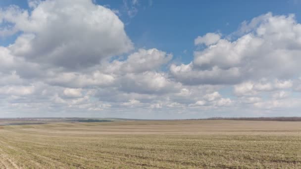 Росія, timelapse. Рух або більше полів озимої пшениці на початку весни у величезній степу Дону. — стокове відео