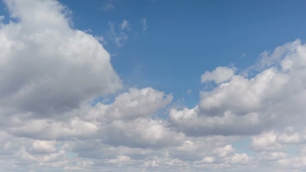 Russia, timelapse. The movement of clouds over the fields of winter wheat in early spring in the vast steppes of the Don. — Stock Video