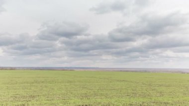 Rusya, timelapse. Bulutlar Don geniş bozkırlarında erken Bahar kış buğday alanları üzerinde hareket.