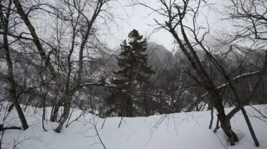 Rusya, Kuzey Osetya Cumhuriyeti Alanya. Film kış kar fırtınası Merkezi Kafkasya dağlarında.