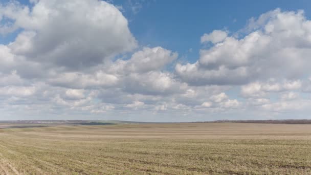 Rusia, timelapse. El movimiento de las nubes sobre los campos de trigo de invierno a principios de primavera en las vastas estepas del Don . — Vídeo de stock