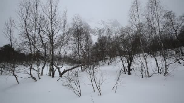 Rusia, República de Osetia del Norte, Alania. Película tormenta de nieve de invierno en las montañas del Cáucaso Central . — Vídeos de Stock