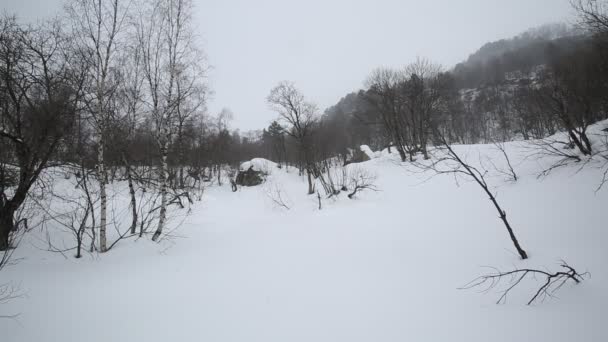 Russia, Repubblica dell'Ossezia del Nord, Alania. Film tempesta di neve invernale sulle montagne del Caucaso centrale . — Video Stock