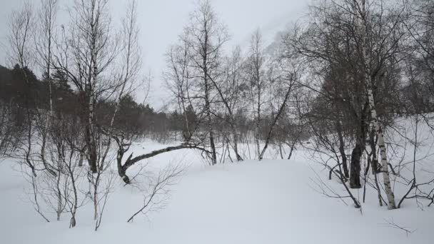 Ryssland, republiken Nordossetien, Alania. Film vintern snöstorm i bergen i centrala Kaukasus. — Stockvideo