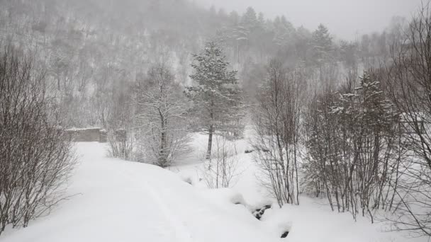 Ryssland, republiken Nordossetien, Alania. Film vintern snöstorm i bergen i centrala Kaukasus. — Stockvideo