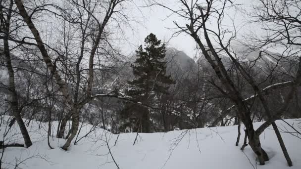 Ρωσία, Δημοκρατία της Βόρειας Οσετίας, Αλανίας. Ταινία χιονοθύελλα χειμώνα στα βουνά του Καυκάσου κεντρική. — Αρχείο Βίντεο