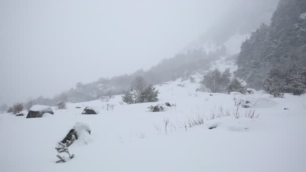 Russia, Repubblica dell'Ossezia del Nord, Alania. Film tempesta di neve invernale sulle montagne del Caucaso centrale . — Video Stock