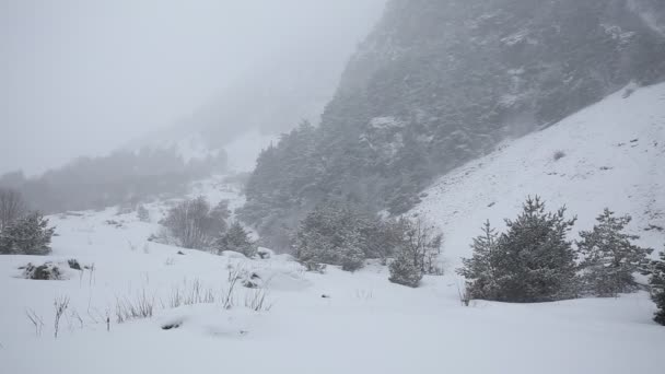 Rusland, Republiek van Noord-Ossetië-Alanië. Film winter sneeuwstorm in de bergen van de Kaukasus in de centrale. — Stockvideo