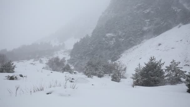 Russia, Repubblica dell'Ossezia del Nord, Alania. Film tempesta di neve invernale sulle montagne del Caucaso centrale . — Video Stock