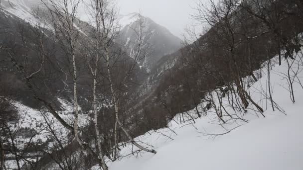 Russland, republik nordossetien, alania. Film Winterschneesturm in den Bergen des Zentralkaukasus. — Stockvideo