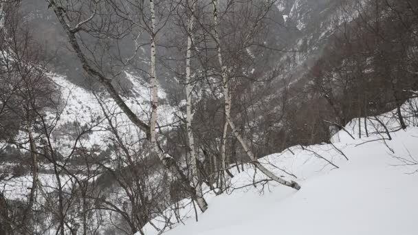 ロシア、北オセチア共和国アラニア。中央のコーカサス山脈の山中の映画冬吹雪. — ストック動画