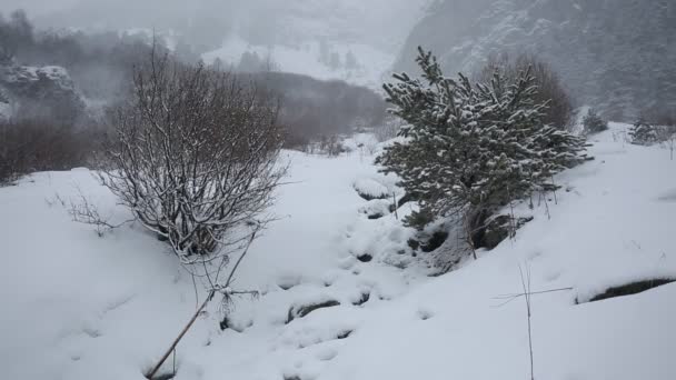 Rússia, República da Ossétia do Norte, Alânia. Inverno de filme tempestade de neve nas montanhas do Cáucaso Central . — Vídeo de Stock