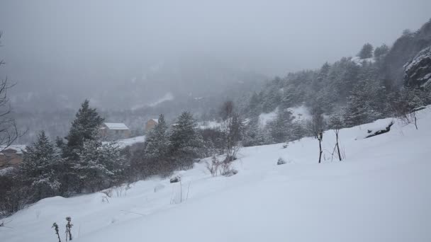 Russia, Repubblica dell'Ossezia del Nord, Alania. Film tempesta di neve invernale sulle montagne del Caucaso centrale . — Video Stock