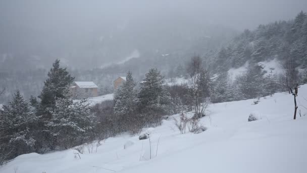 Rusland, Republiek van Noord-Ossetië-Alanië. Film winter sneeuwstorm in de bergen van de Kaukasus in de centrale. — Stockvideo