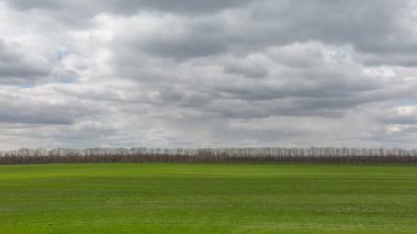 Rusya, timelapse. Bulutlar Don geniş bozkırlarında erken Bahar kış buğday alanları üzerinde hareket.