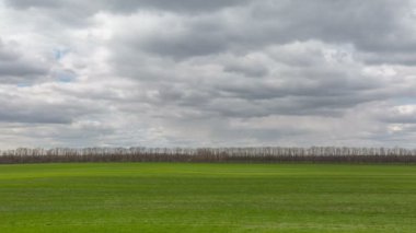 Rusya, timelapse. Bulutlar Don geniş bozkırlarında erken Bahar kış buğday alanları üzerinde hareket.