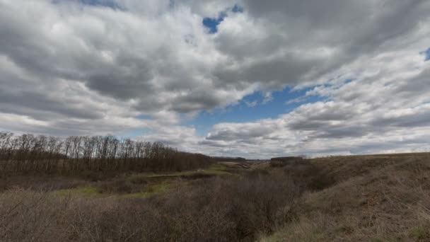 Rosja, timelapse. Ruchu chmur nad polami pszenicy ozimej wczesną wiosną w rozległe stepy Don. — Wideo stockowe