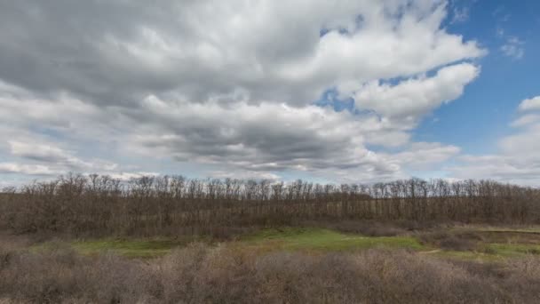 Russland, Zeitraffer. die Bewegung der Wolken über den Winterweizenfeldern im zeitigen Frühling in den weiten Steppen des Don. — Stockvideo