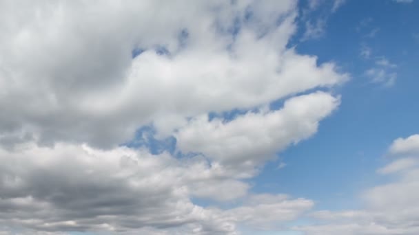 Rusia, timelapse. El movimiento de las nubes sobre los campos de trigo de invierno a principios de primavera en las vastas estepas del Don . — Vídeo de stock