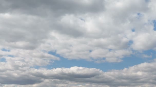 Rusia, timelapse. El movimiento de las nubes sobre los campos de trigo de invierno a principios de primavera en las vastas estepas del Don . — Vídeo de stock