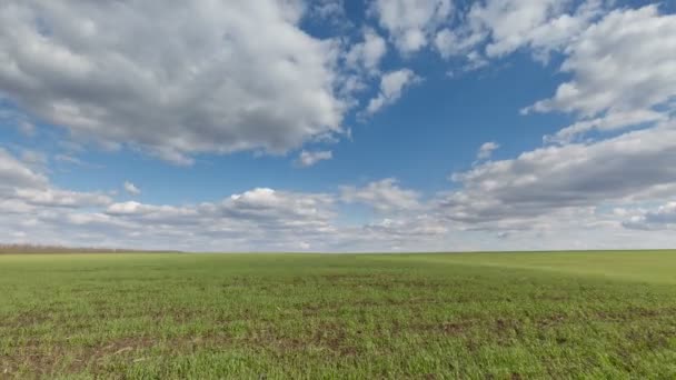 Ryssland, timelapse. Förflyttning av moln över fälten i höstvete tidigt på våren i de stora stäpperna i Don. — Stockvideo