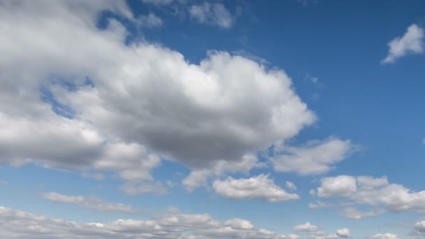 Russia, timelapse. Il movimento delle nuvole sui campi di grano invernale all'inizio della primavera nelle vaste steppe del Don . — Video Stock