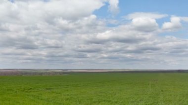 Rusya, timelapse. Bulutlar Don geniş bozkırlarında erken Bahar kış buğday alanları üzerinde hareket.