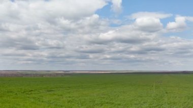 Rusya, timelapse. Bulutlar Don geniş bozkırlarında erken Bahar kış buğday alanları üzerinde hareket.