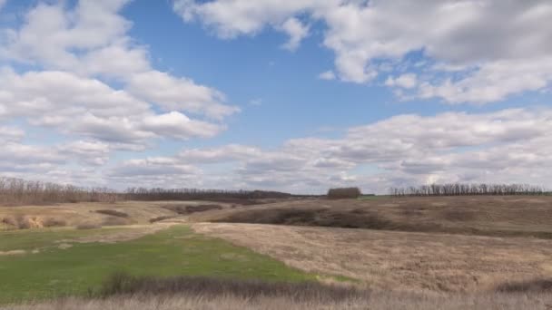 Rusia, TiLapse. Pergerakan awan di atas ladang gandum musim dingin di awal musim semi di stepa Don yang luas . — Stok Video