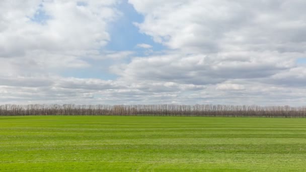 Russia, timelapse. Il movimento delle nuvole sui campi di grano invernale all'inizio della primavera nelle vaste steppe del Don . — Video Stock