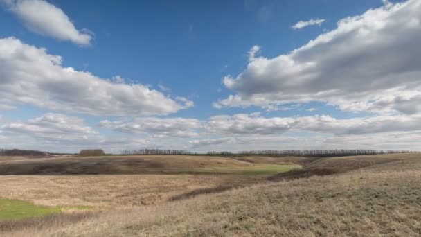 Rusia, TiLapse. Pergerakan awan di atas ladang gandum musim dingin di awal musim semi di stepa Don yang luas . — Stok Video