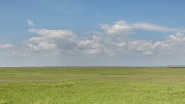 Przemieszczania się chmur nad polami pszenicy ozimej wczesną wiosną w rozległe stepy Don. — Wideo stockowe