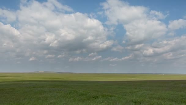 Pohyb mraků nad poli ozimé pšenice v předjaří v rozlehlé stepi Don. — Stock video