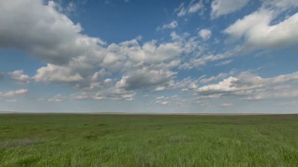 Il movimento delle nuvole sui campi di grano invernale all'inizio della primavera nelle vaste steppe del Don . — Video Stock