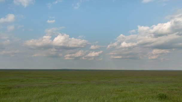 Het verkeer van wolken over de velden van wintertarwe in het vroege voorjaar in de uitgestrekte steppen van de Don. — Stockvideo