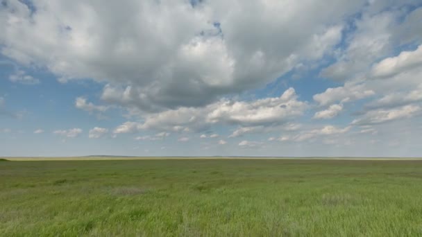 Pergerakan awan di atas ladang gandum musim dingin di awal musim semi di stepa Don yang luas . — Stok Video