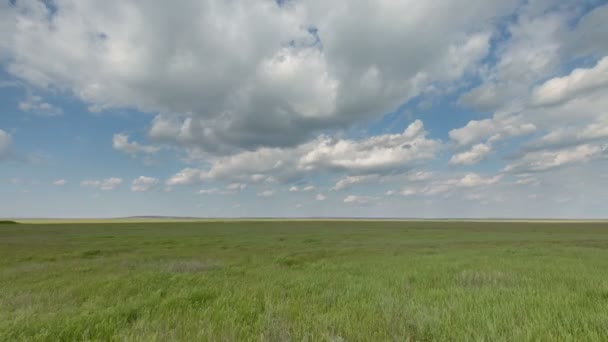 O movimento das nuvens sobre os campos de trigo de inverno no início da primavera nas vastas estepes do Don . — Vídeo de Stock